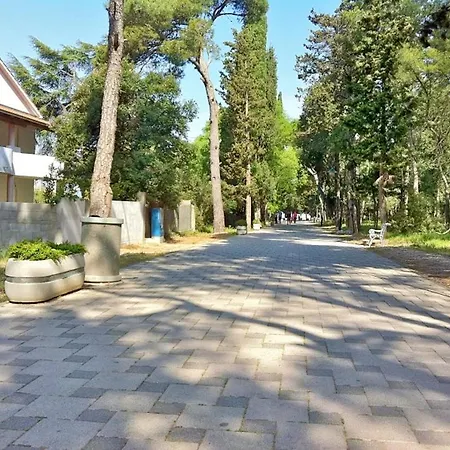 Studio With Wifi At Apartman Biograd na Moru